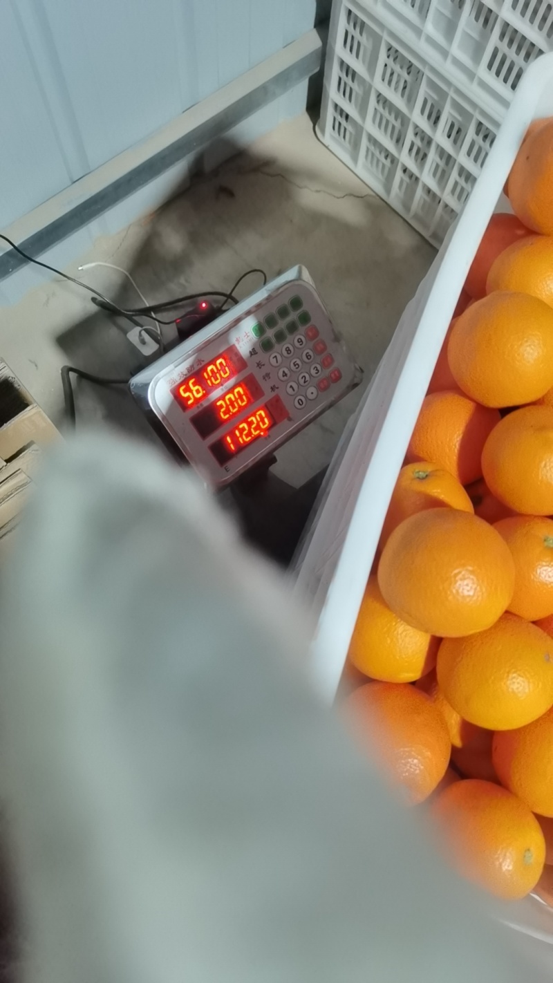 奉节脐橙二级果1.05包上车，榨汁果，欢迎老板联系。