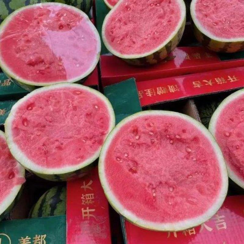 河南麒麟西瓜大量上市现摘现发产地供应品质上乘