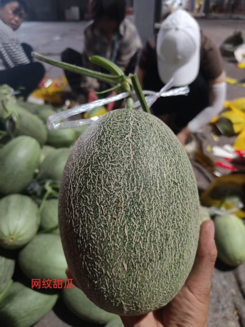 小蜜25大量上市，欢迎新老客户前来合作