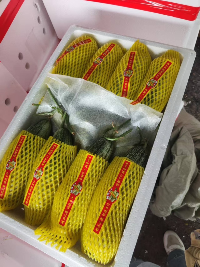 博洋六一甜瓜，产地一手货源，量大优惠欢迎新老客户前来合作