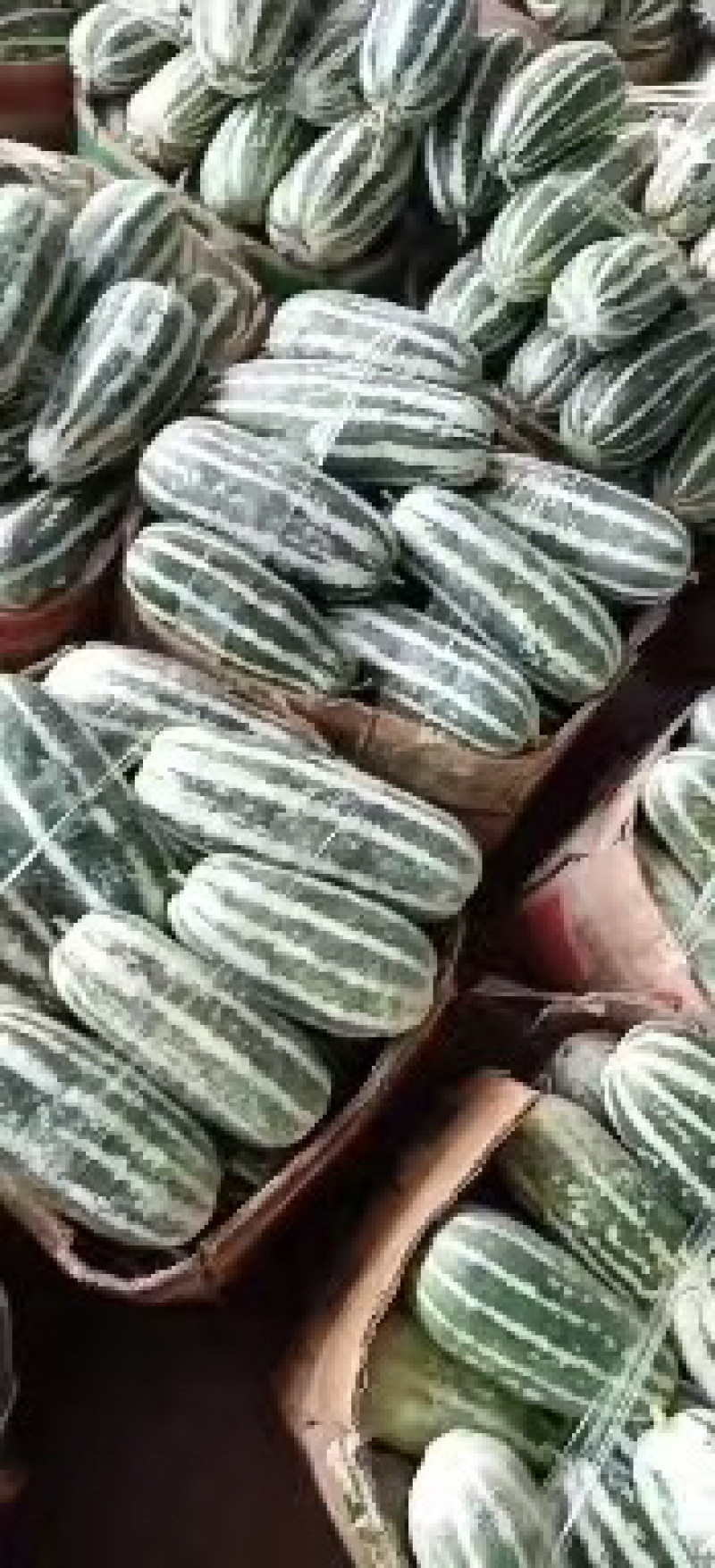 博洋9号，大量有货，产地一手货源，欢迎新老客户前来合作