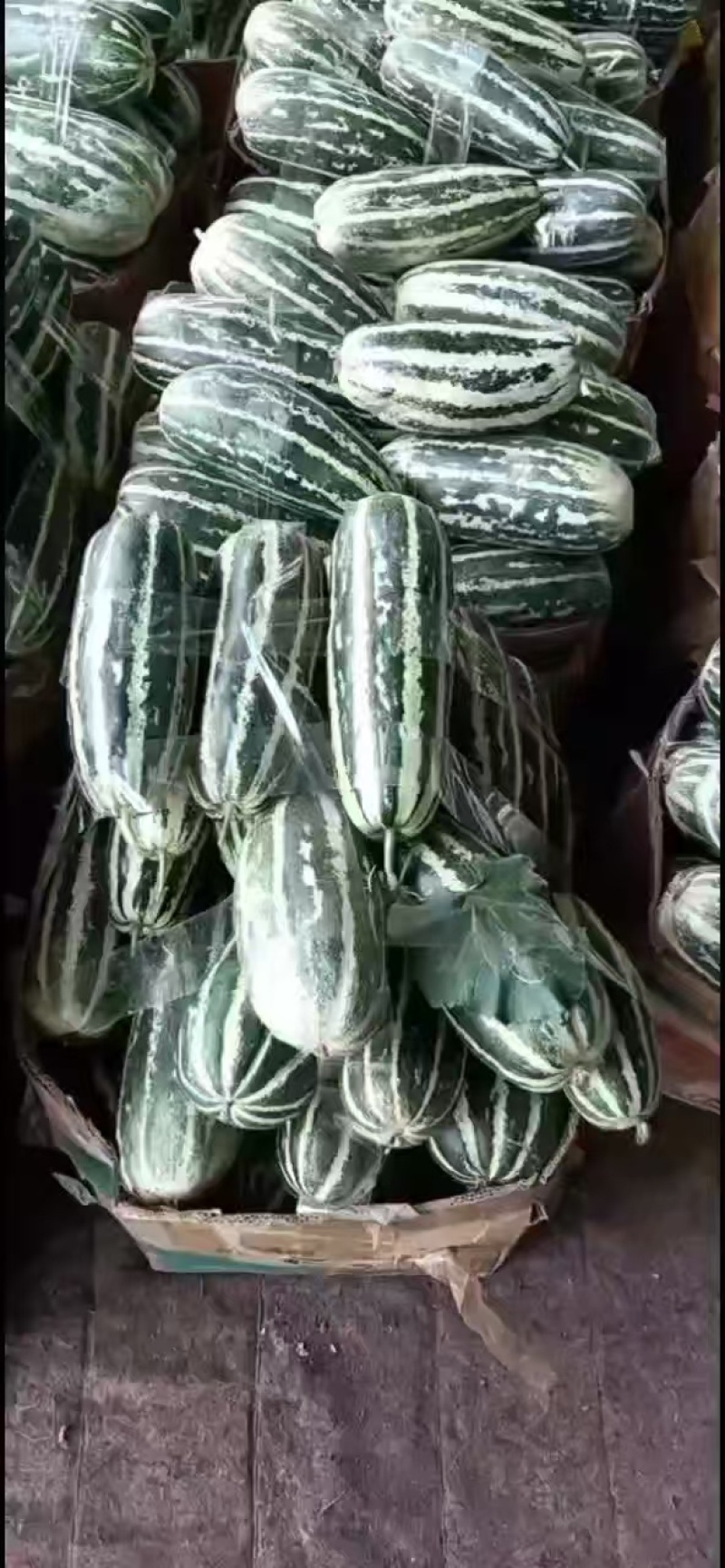 博洋9号，大量有货，产地一手货源，欢迎新老客户前来合作