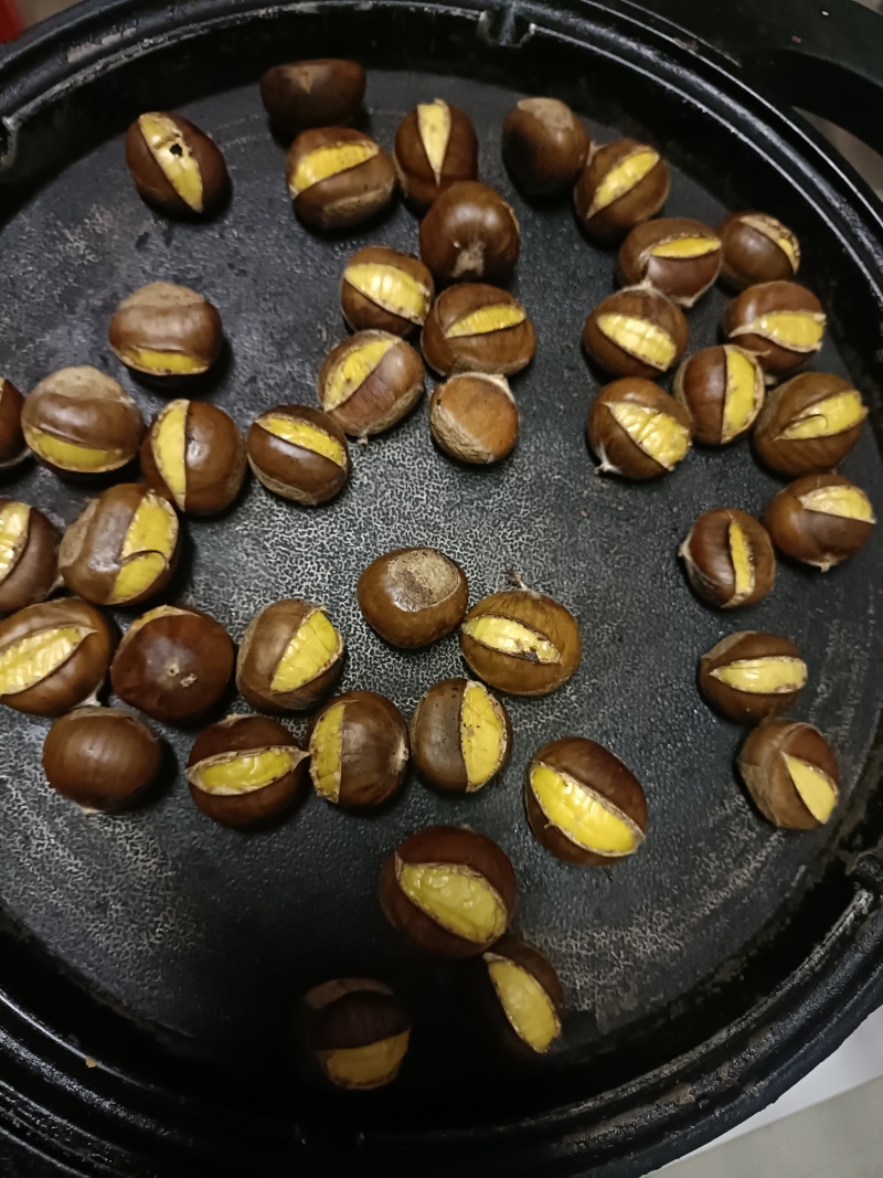 正宗迁西油栗子早期迁西板栗批发全国一包起发