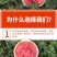 盈江甜王西瓜，对接各大电商批发市场，质量保证