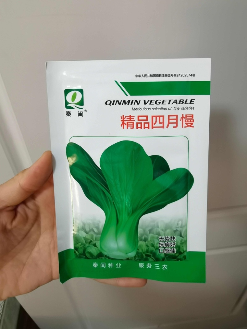 四月慢上海青种子四季播高产上海青菜种子农家小油菜籽蔬菜