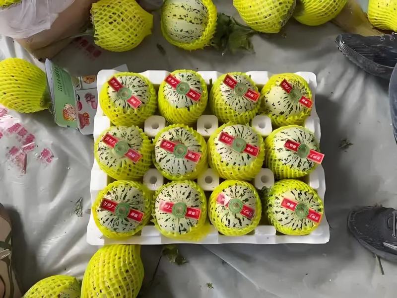 花美人甜瓜产地直销，品优价廉卖相好，个头大口感好！