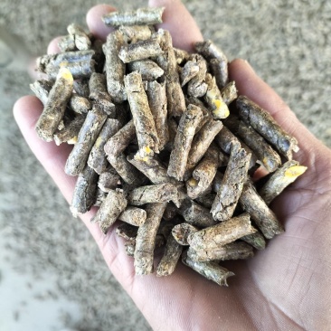 花生秧颗粒，花生之都的福利