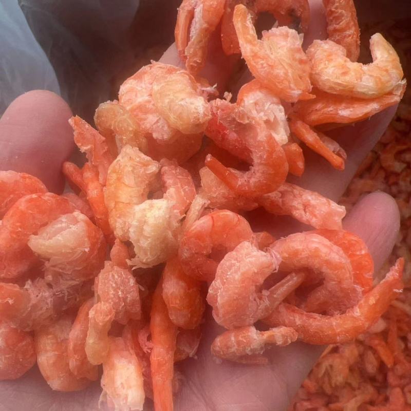 虾肉地摊批发电商虾肉虾干干虾海米干货虾仁金钩虾米