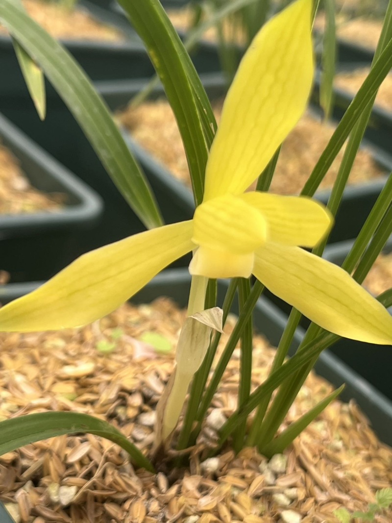 金碧辉煌