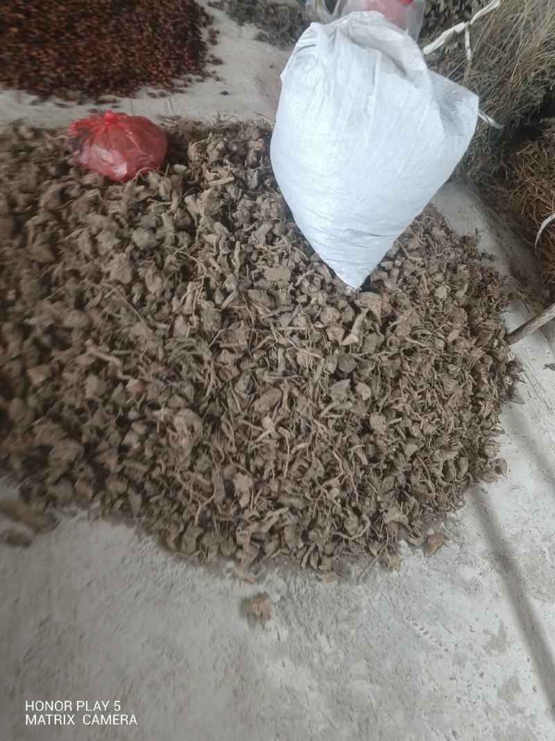 野牡丹，羊开口