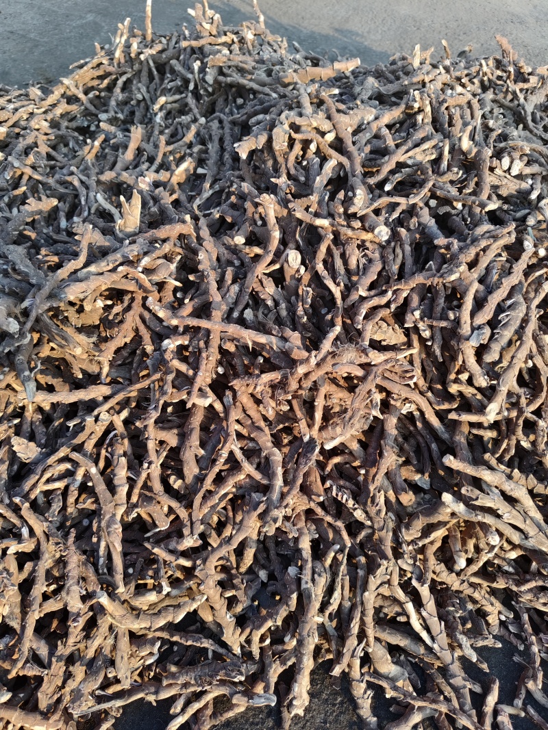 【推荐】石菖蒲干货现货直发可视频看货品质保证
