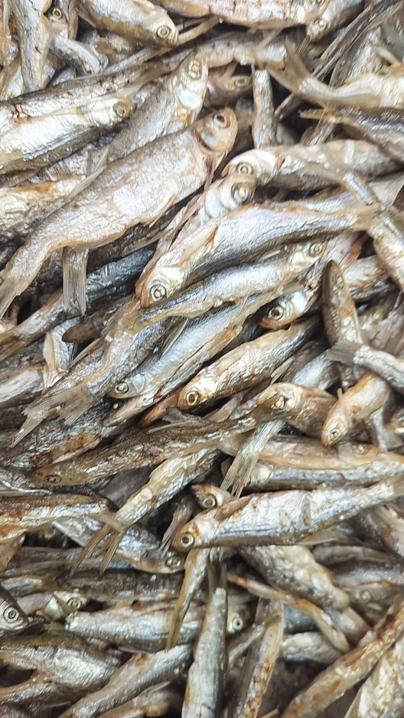 徽山鱼干小鱼干美味可口干炸酥脆对接全国商超品质欢迎选购