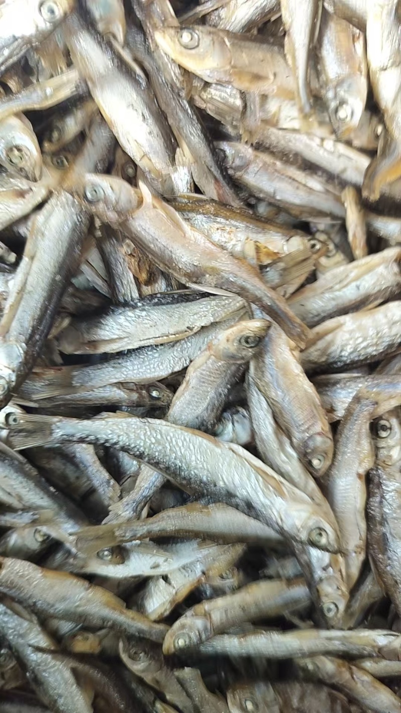 徽山鱼干小鱼干美味可口干炸酥脆对接全国商超品质欢迎选购