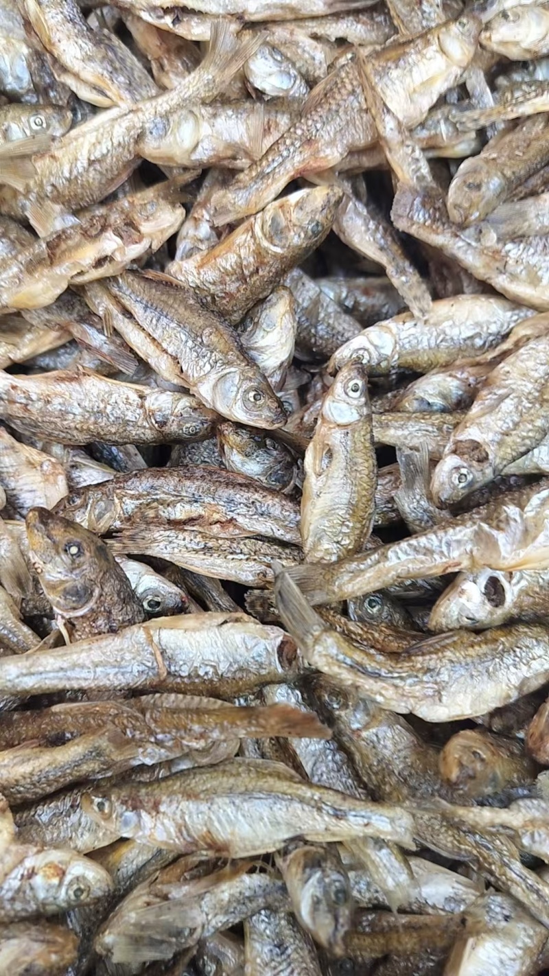 徽山鱼干小鱼干美味可口干炸酥脆对接全国商超品质欢迎选购