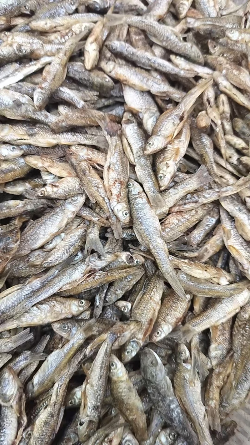 徽山鱼干小鱼干美味可口干炸酥脆对接全国商超品质欢迎选购