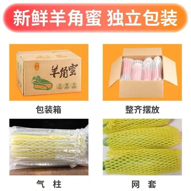羊角蜜甜瓜，网红直播，社区团购，电商一件代发