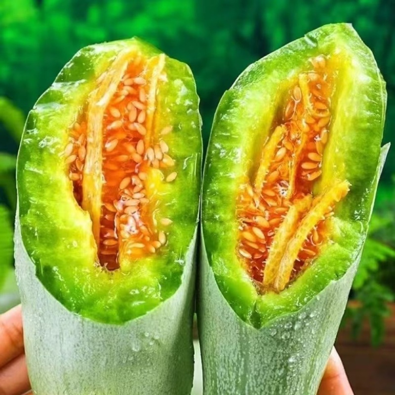 羊角蜜甜瓜，网红直播，社区团购，电商一件代发