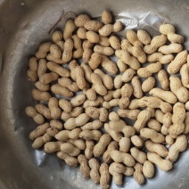 精选莒南大花生