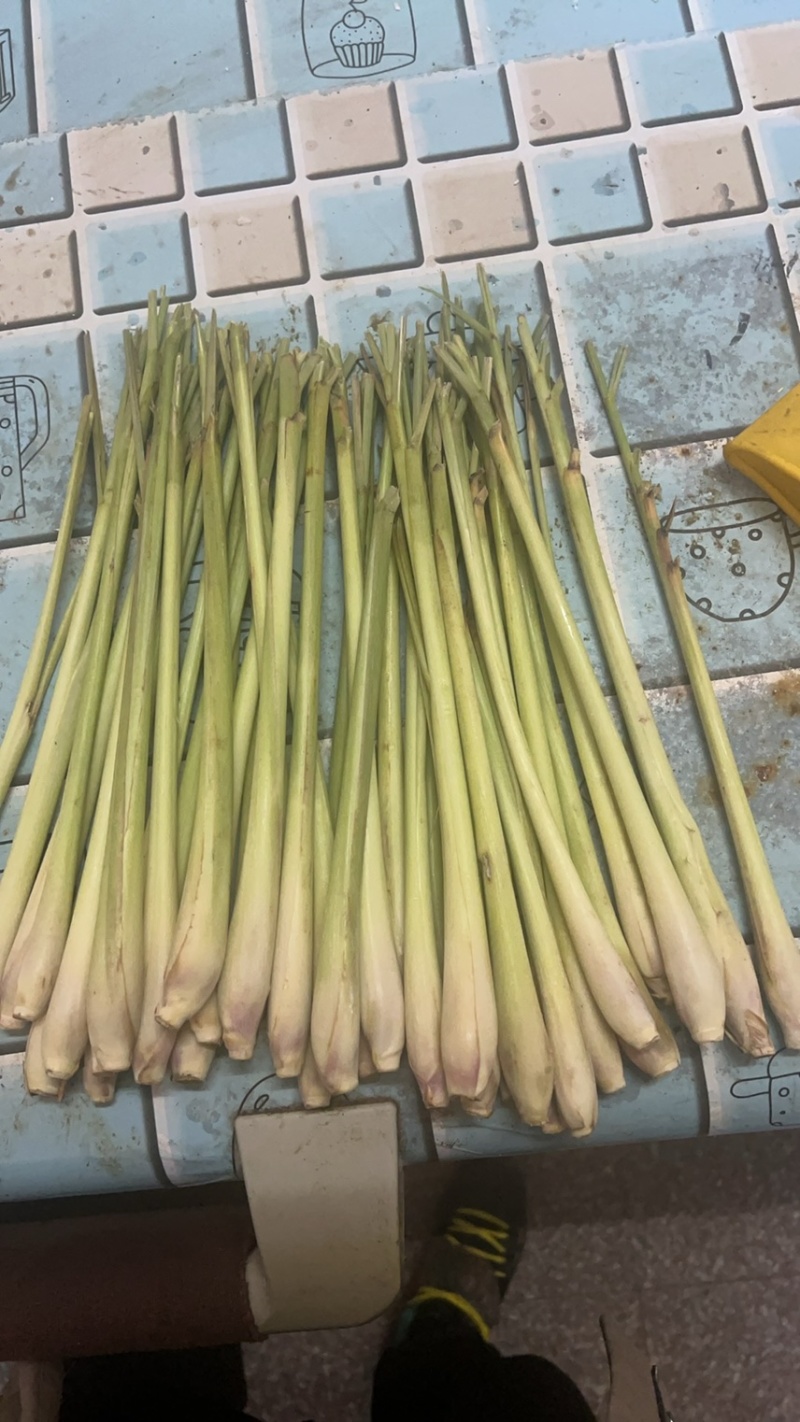 越南进口香茅新鲜泰国香茅草干大量有货进口精品
