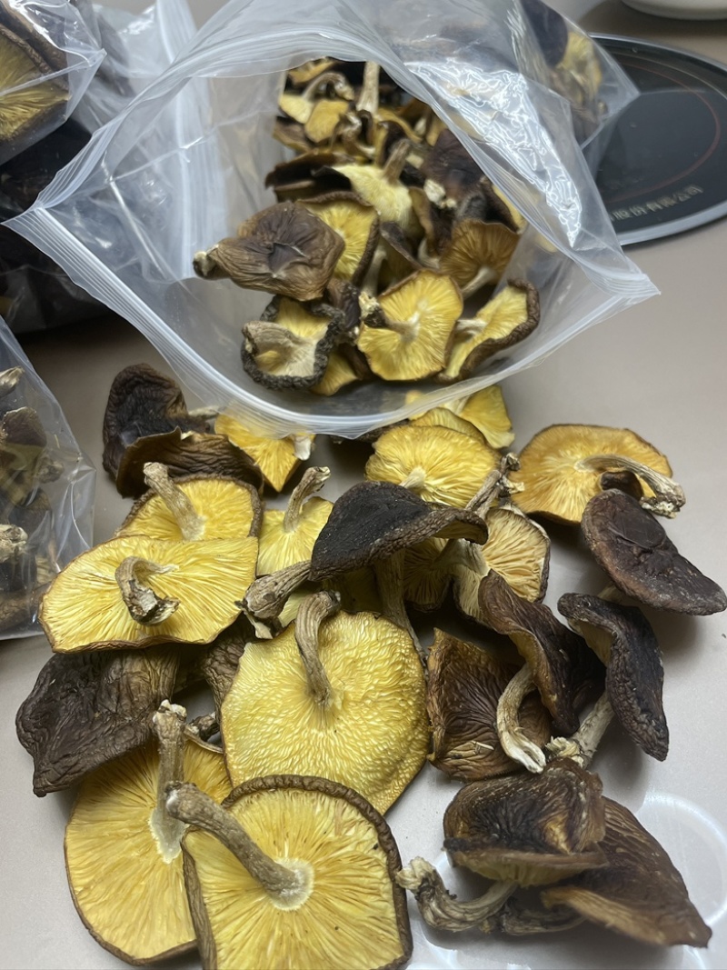 马桑菌（干货）