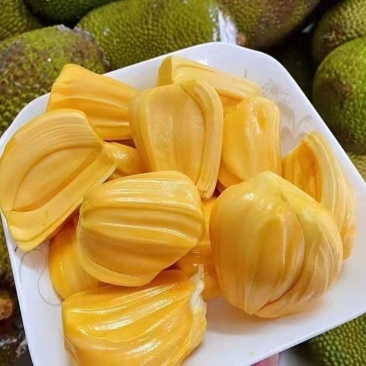 马来西亚1号菠萝蜜，可对接电商商超等，诚信经营