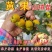 黄山楂树苗，品种保证，单果12克，包邮包活包品种