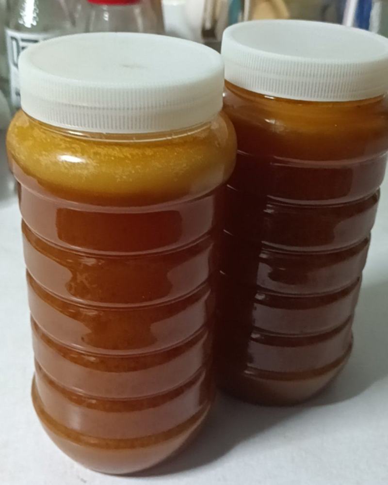泰岭山脉土蜂蜜