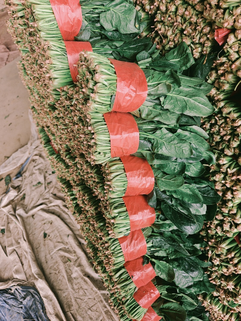 新鲜菠菜大量供应大叶，小叶，一站式服务，中高低档都有