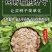 白榆树种子榆钱树防风林水土保持盐碱地造林林木种子