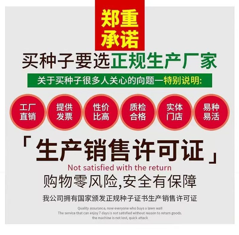 白榆树种子榆钱树防风林水土保持盐碱地造林林木种子