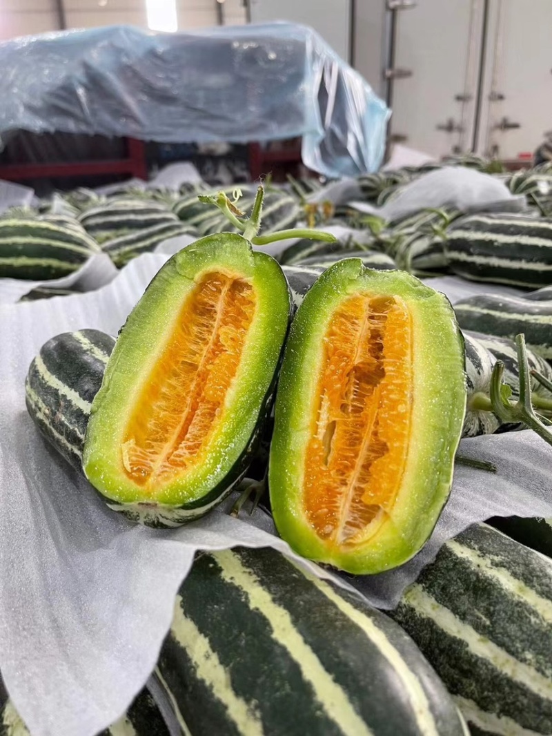 博洋9号甜瓜脆甜多汁现摘现发品质保证来电洽谈合作价优
