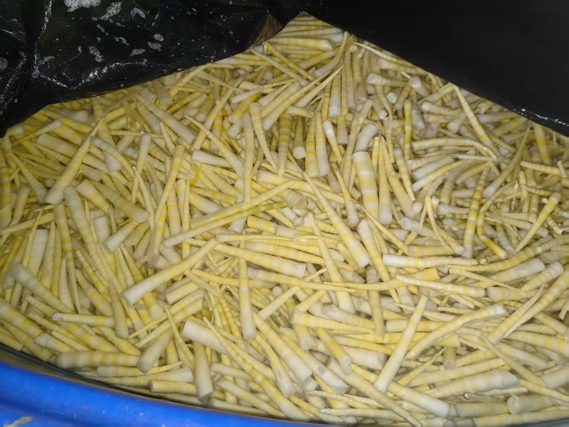 云南方竹笋半成品