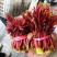 香椿芽，大竹香椿芽。红油香椿，露天生长。