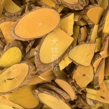 功劳木【包邮】三斤起发货可批量可零售量大从优