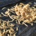 云南大天冬