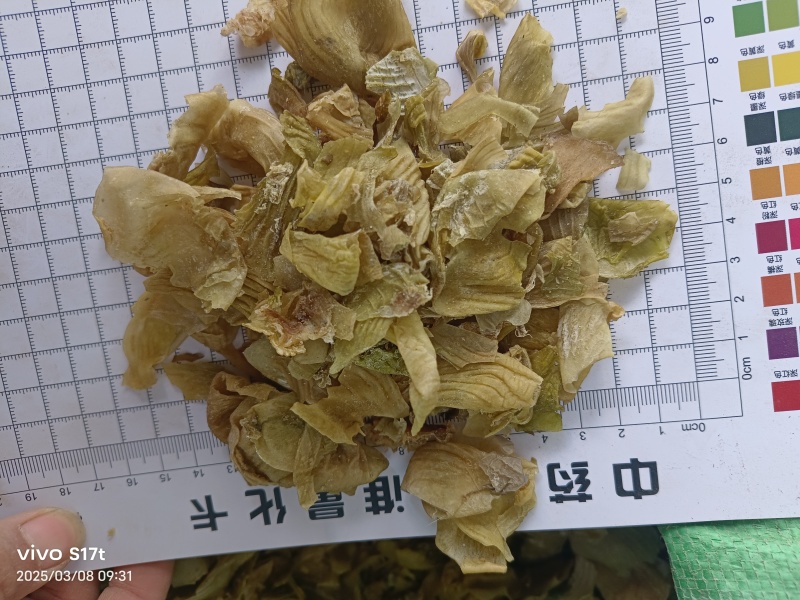 鸡内金，生鸡内金，炒鸡内金中药材批发【丹丹中药】