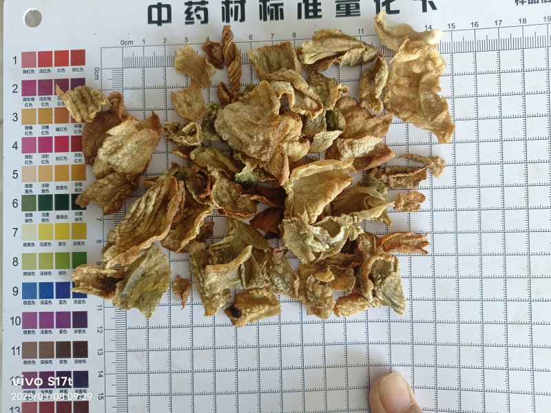 鸡内金，生鸡内金，炒鸡内金中药材批发【丹丹中药】