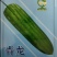 【青龙苦瓜】中熟杂交品种耐寒耐热长圆棒形皮翠绿