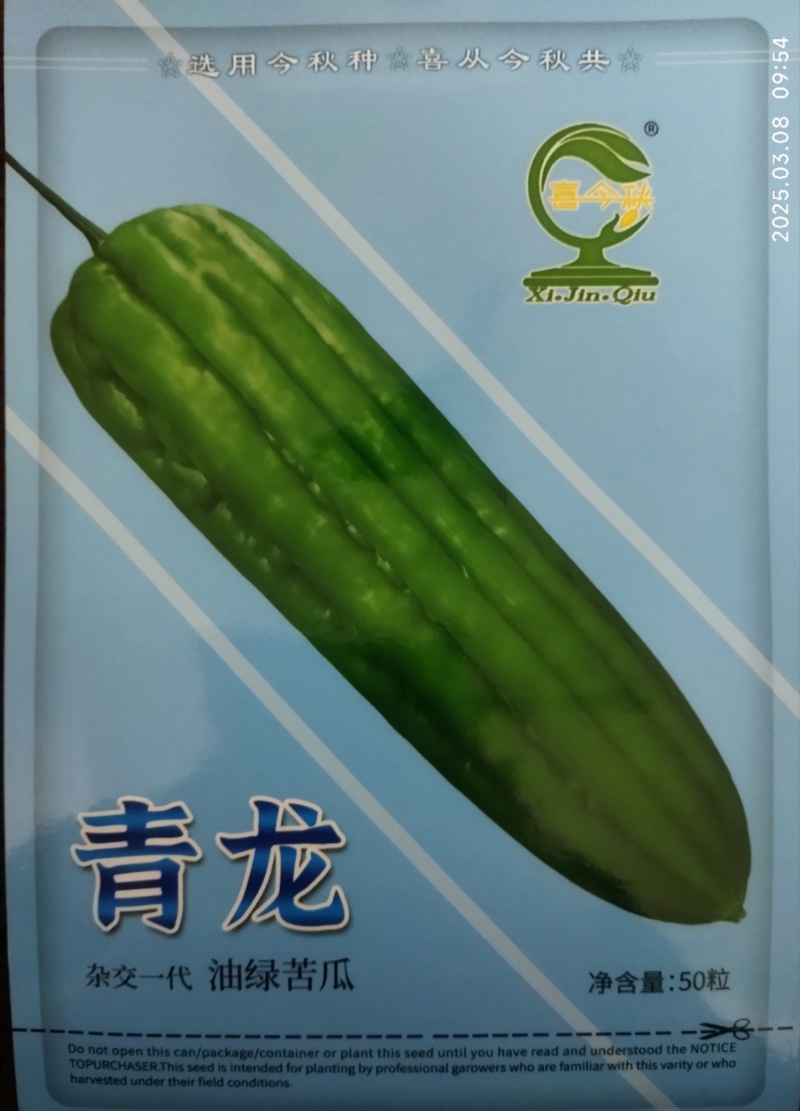 【青龙苦瓜】中熟杂交品种耐寒耐热长圆棒形皮翠绿