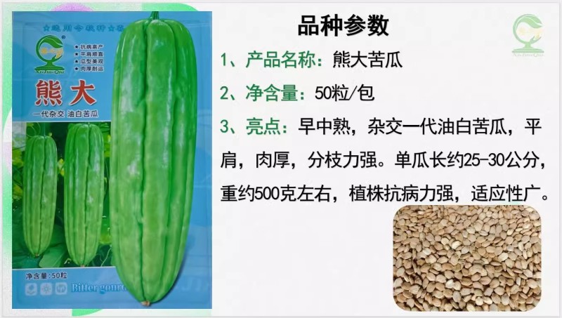 【熊大苦瓜】早中熟油白耐热耐雨水浅绿色分枝强