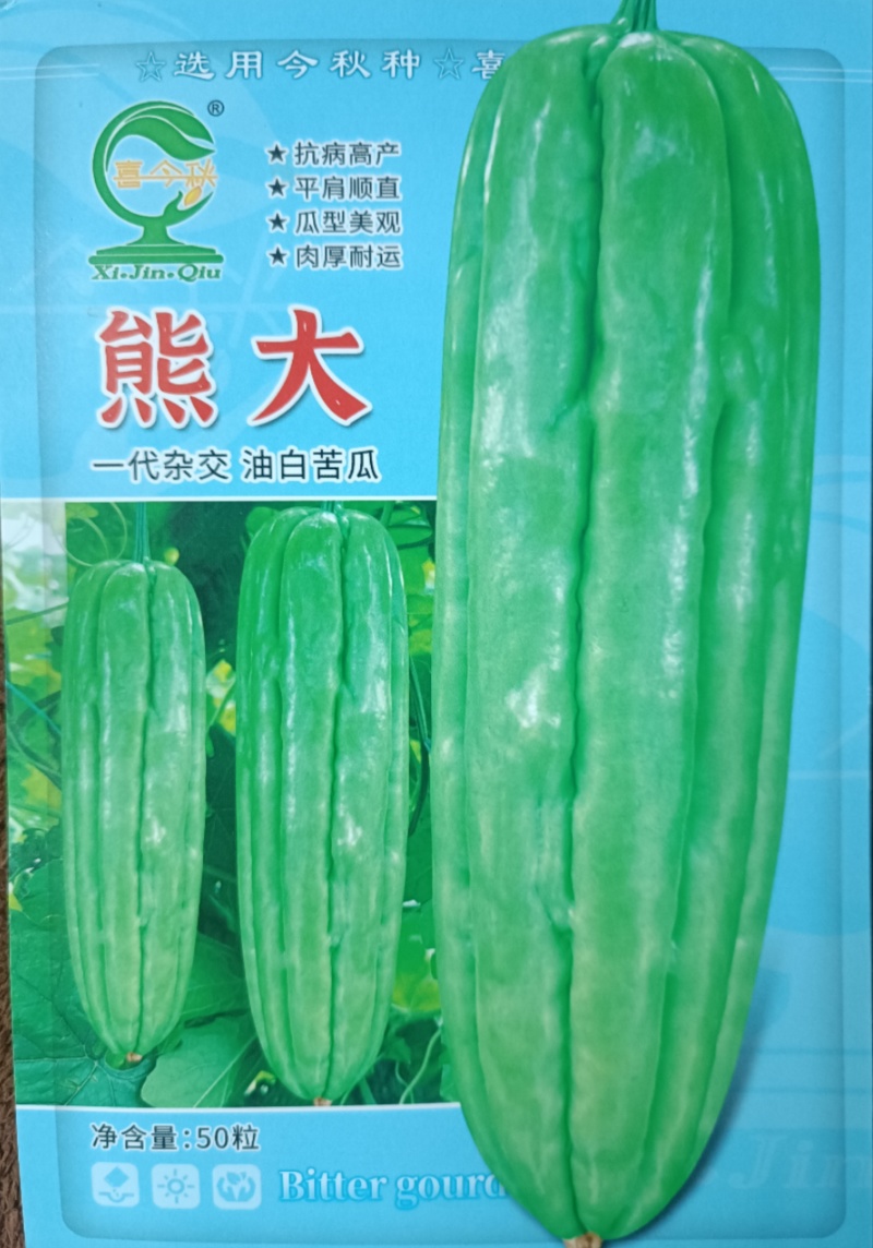 【熊大苦瓜】早中熟油白耐热耐雨水浅绿色分枝强