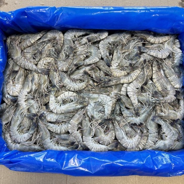 黑虎虾