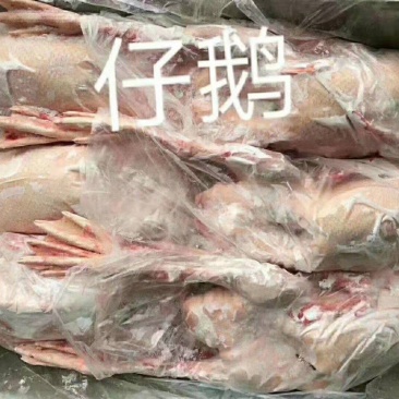 精品仔鹅