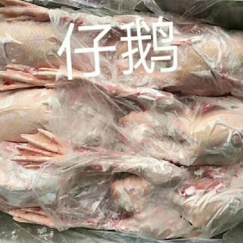 精品仔鹅