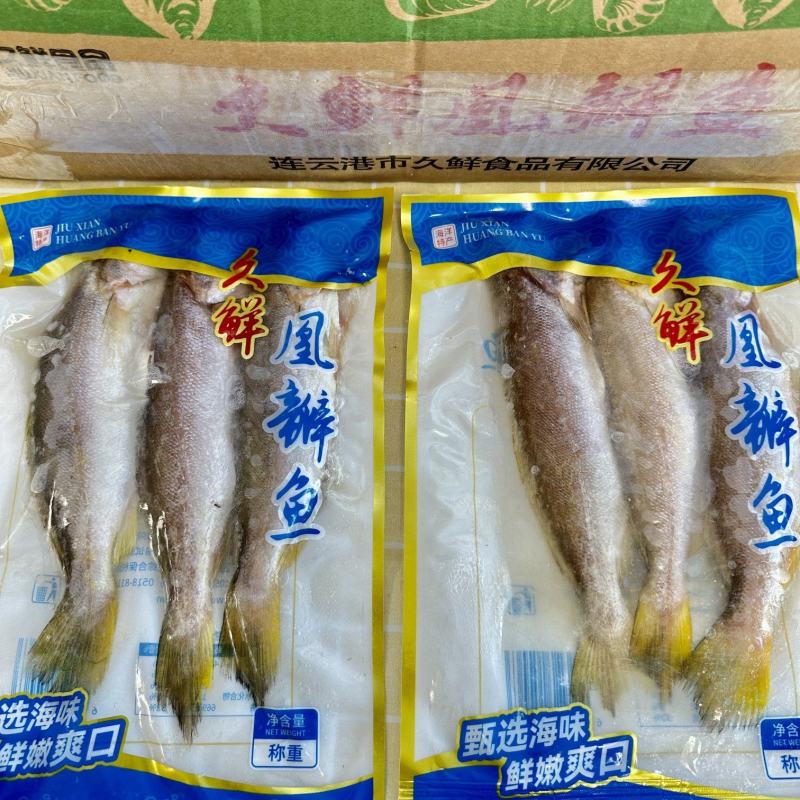 小黄鱼