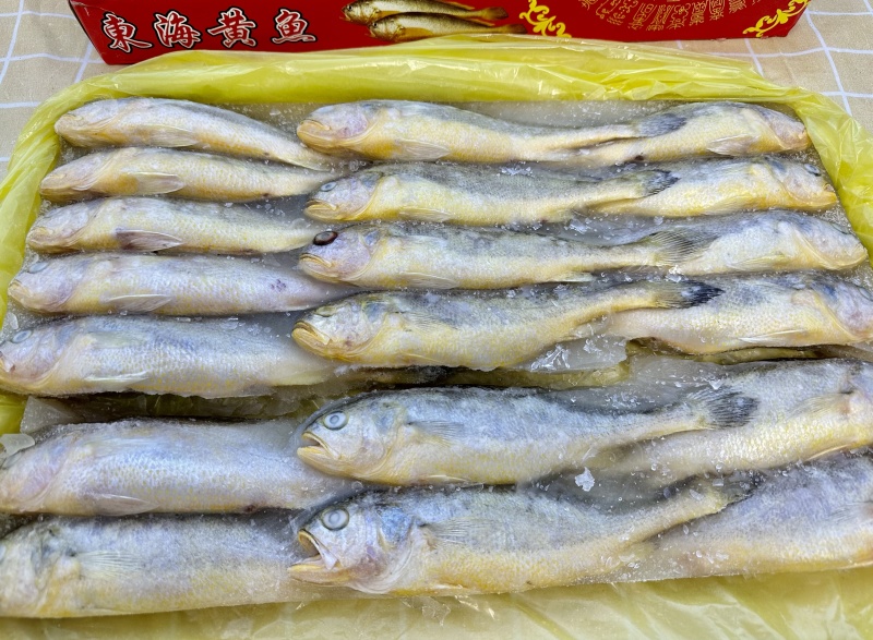 小黄鱼