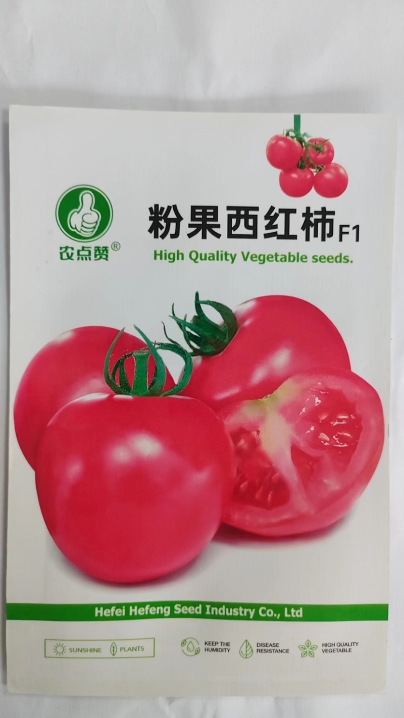 老品种-粉果西红柿种子沙瓤果肉厚中早熟生长型