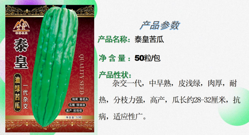 泰皇苦瓜中早熟油瓜果型棒状适应性广座瓜强丰产