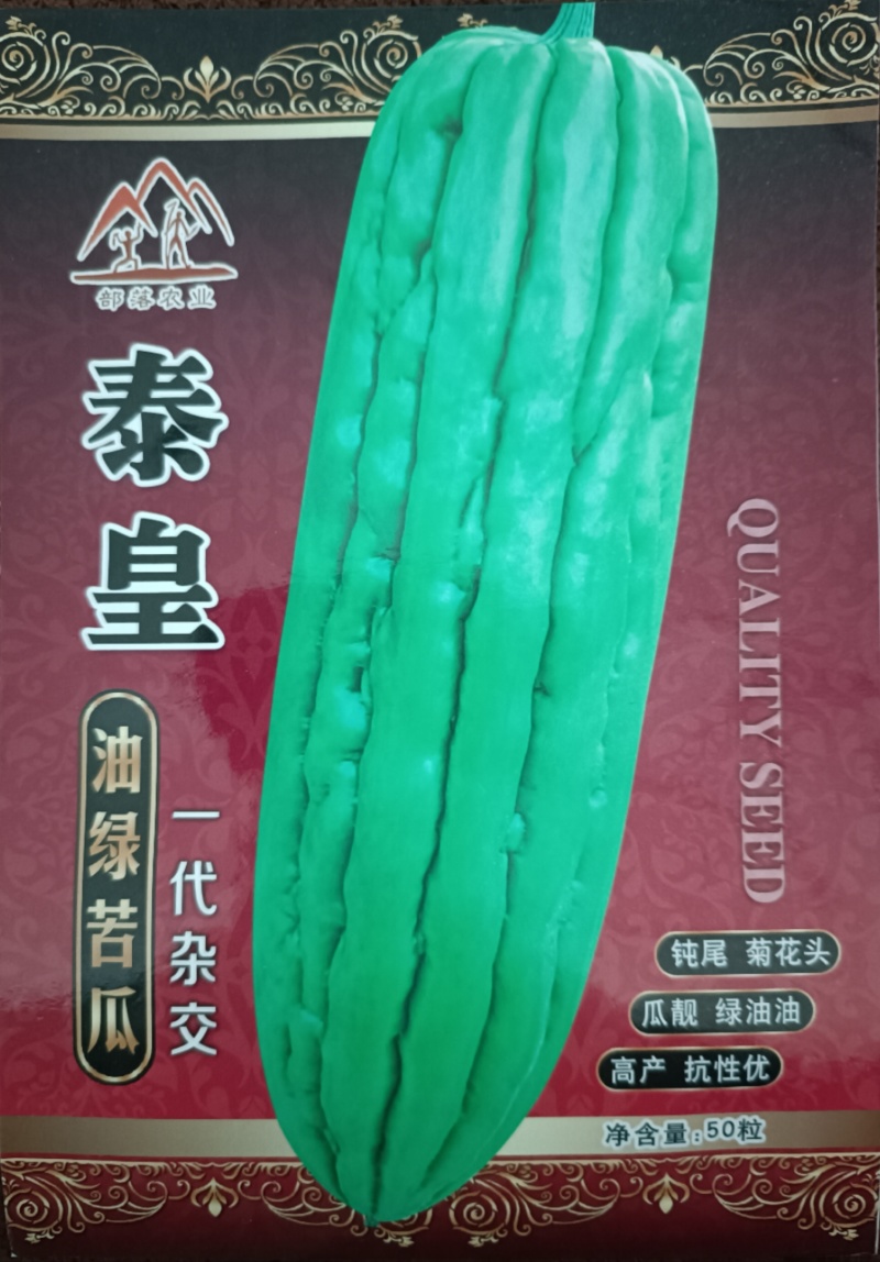 泰皇苦瓜中早熟油瓜果型棒状适应性广座瓜强丰产