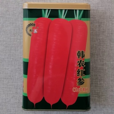 九寸红胡萝卜种子三红胡萝卜春秋两用耐热强抗病高产基地种植